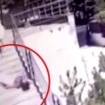 空から降ってきた窓枠にデスフロムアバブされてしまった男性の映像。