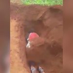 掘った穴にうつ伏せになり、銃殺された後そのまま埋められてしまう女性の映像。