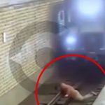 【閲覧注意】ホームから飛び降りて電車に首を切断させて自殺した男の映像。