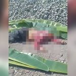 【閲覧注意】列車に轢かれて自殺した人間の死体映像。