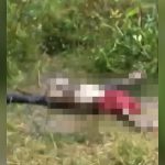 【閲覧注意】森の中でほぼ白骨化した状態で見つかった死体?像。