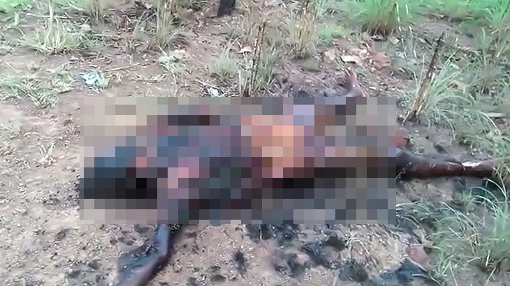 【閲覧注意】生焼けで内臓がむき出しになった人間の焼死体映像。