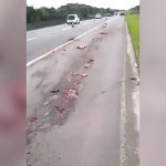 【閲覧注意】トラックに轢かれた男性の肉片が散らばる事故現場の映像。