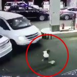 ガソリンスタンドでボール遊びをしていた男の子が轢かれてしまう映像。