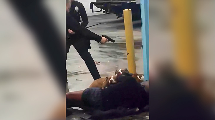 飼い主に噛み付いた3匹のピットブルが警官に撃ち殺される映像。