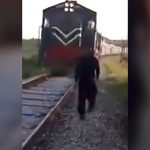 向かってくる列車をバックに撮影してもらってた男が思いっきり轢かれてしまう映像。