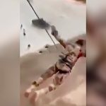 身体にロープを付けて飛び降りた兵士が思いっきり地面に激突する映像。