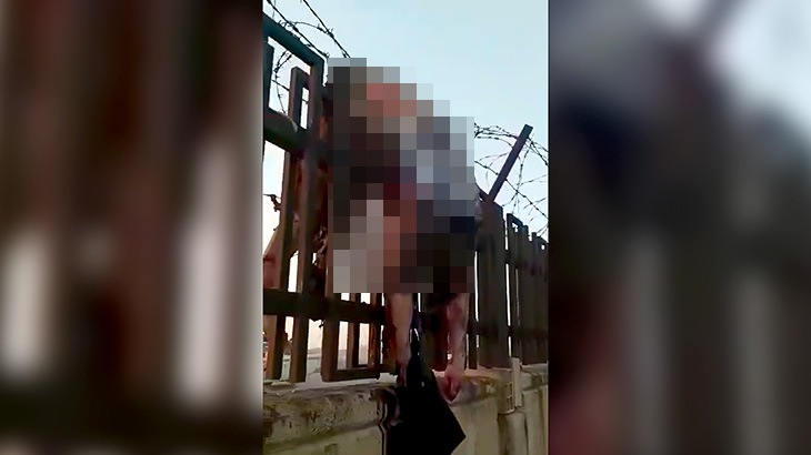 【閲覧注意】飛行機墜落事故の現場、肉片が散らばるグロ動画。