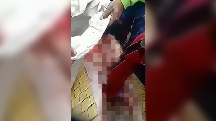 【閲覧注意】巨大なワニの腹の中から男性の死体を取り出すグロ動画。