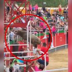 観客席に飛び込んで19人を負傷させた闘牛の映像。