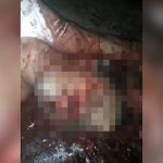 【閲覧注意】ギャングに頭を撃たれて脳が飛び出してしまった男性の死体映像。