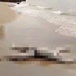 【閲覧注意】浜辺に打ちあげられた真っ白になった男性の死体映像。