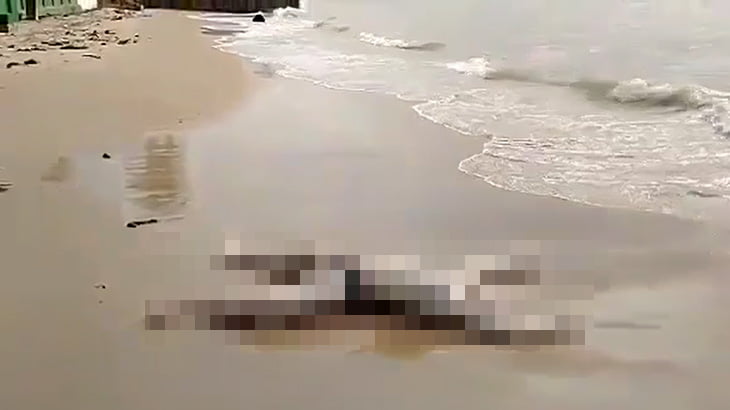 【閲覧注意】浜辺に打ちあげられた真っ白になった男性の死体映像。