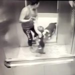 エレベーター内でピットブルに襲われてしまう男の子の映像。