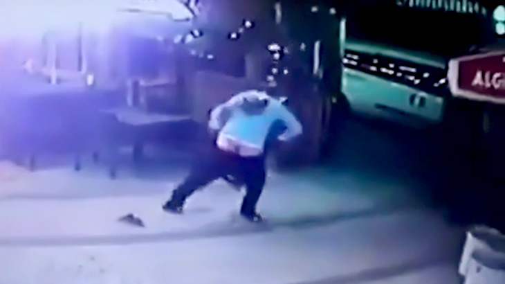 犬を散歩させていた男性が猫に襲われてしまう映像。