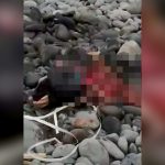 【閲覧注意】クマに食われた人間の死体を撮影したグロ動画。
