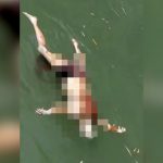 【閲覧注意】川を流れる男性の水死体映像。