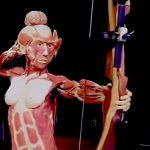 【閲覧注意】人間の死体を展示物に変えるアート映像。