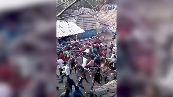 ヒョウ1頭 v.s 村人数百人の映像。