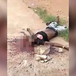 【閲覧注意】岩で顔を潰されて殺された男性のグロ動画。