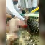 【閲覧注意】農業機械に巻き込まれて身体ズタズタにされた女性（動画）