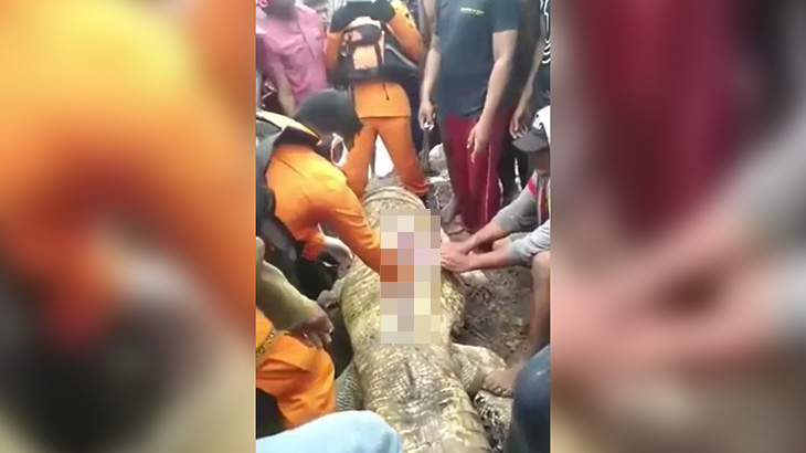 【閲覧注意】ワニの腹の中から女性の手足を取り出すグロ動画。