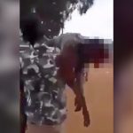 【閲覧注意】?を吹き飛ばされた男性を抱えて歩くグロ動画。