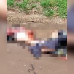 【閲覧注意】事故で胴体ズタズタに轢き裂かれてしまった男性の死体映像。