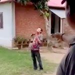 【閲覧注意】母親を刺し殺した後、自分の喉を何度も切りまくる男の映像。