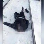 【閲覧注意】極寒の地で電車に首を切断された男性の死体映像。