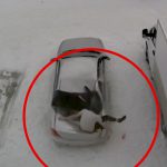 【閲覧注意】飛び降り自殺した男性が駐車していた車に落下する映像。