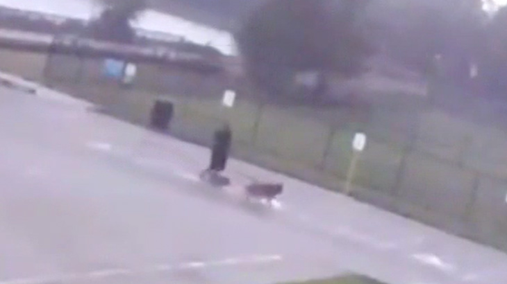 犬の散歩中にカミナリに打たれて死んでしまった男性の映像。