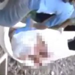 【閲覧注意】列車に身体をズタズタに引き裂かれた男のグロ動画。