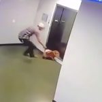 リードがエレベーターに挟まれた小型犬を間一髪救出する映像。