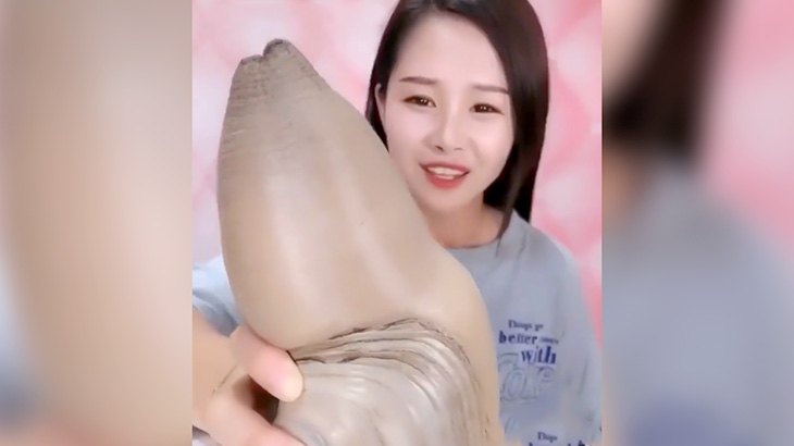 超巨大な貝を丸かじりする女さんの映像。