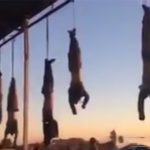 逆さまに吊るされた8人の死体映像。