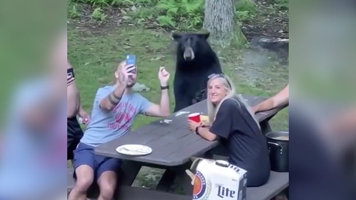 人と一緒に椅子に座ってオヤツを食べる飼い慣らされまくったクマの映像。