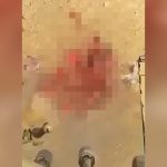 【閲覧注意】捕虜の男性が重機関銃一発で身体を粉砕されるグロ動画。