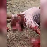 【閲覧注意】ショットガンで頭を吹き飛ばされた男性の死体映像。