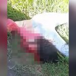 【閲覧注意】事故で頭がちぎれてしまった女性の死体映像。