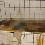 【閲覧注意】殺されたあと浴槽に入れられて皮膚が溶けつつある女性のグロ動画。