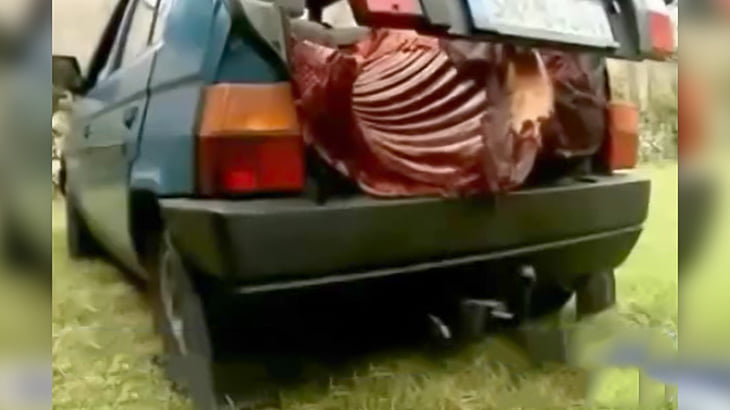 屠殺した馬を車に乗せて運んでいた男が逮捕されたニュース映像。