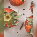 買ってきたイチゴを塩水で洗ってみた結果、とんでもない量の虫が這い出してくる映像。