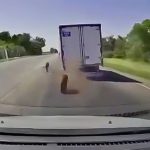 前を走るトラックから外れたタイヤがぶつかって横転してしまう車載カメラ映像。