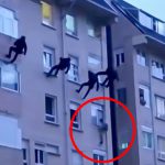 窓から飛び降りようとする男性を屋上からロープで降りて助けようとして失敗する映像。