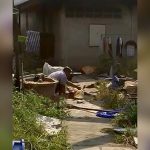 【閲覧注意】殺した母親の舌をマチェーテで切断する男の?像。