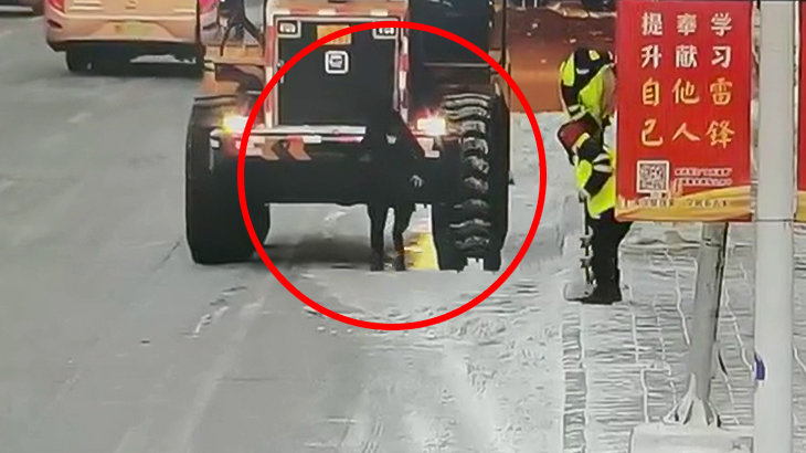 バックするブルドーザーの前を歩いていた男性が轢かれてしまう映像。