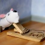 チンチンにネズミを模したフードを被せてネズミ捕りでパチンとする映像