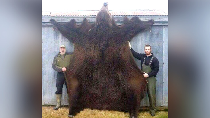 巨大なクマに食い殺された男の死体画像。