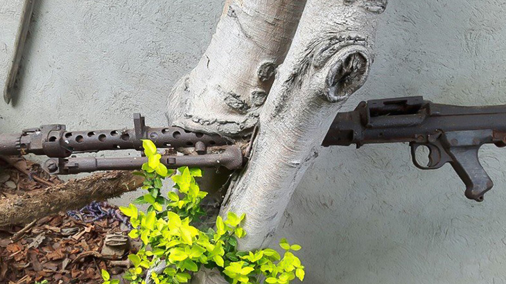 【画像】戦争のなごり。成長した木に埋まってしまった錆びついた銃やナイフ。